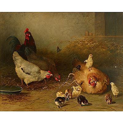 David Bechtel : Rooster and chickens