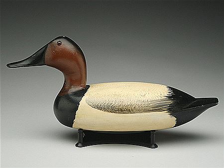 Hiram Hotze : Exceptional canvasback drake