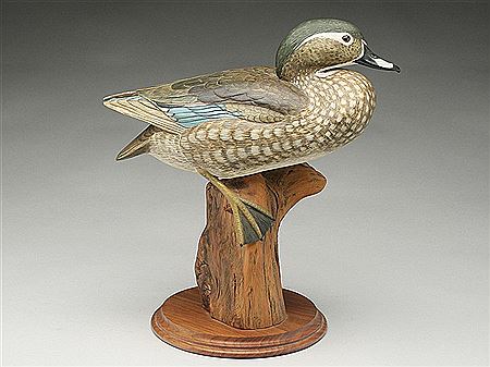 Al Glassford : Full bodied wood duck hen on stump