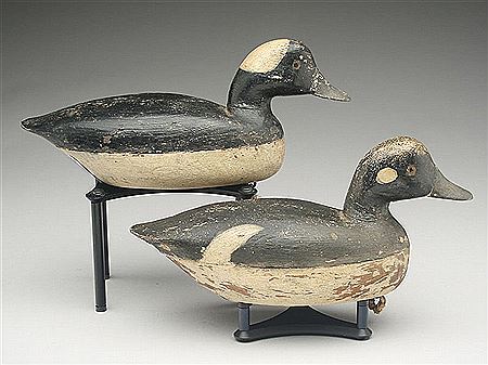 Jake Barrett : Rare pair of buffleheads