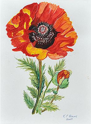 Patricia Henry : POPPY