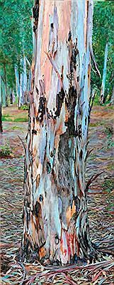 Iftah Dori : Tree in the Woods, 2015