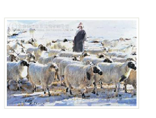 Yunsheng Liu : Sheepherder