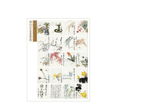 Baishi Qi : FLORA AND INSECTS ALBLUM