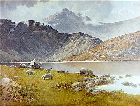 Warren Williams : Nowdon and Llyn Idwal with sheep and lambs grazing by the lake