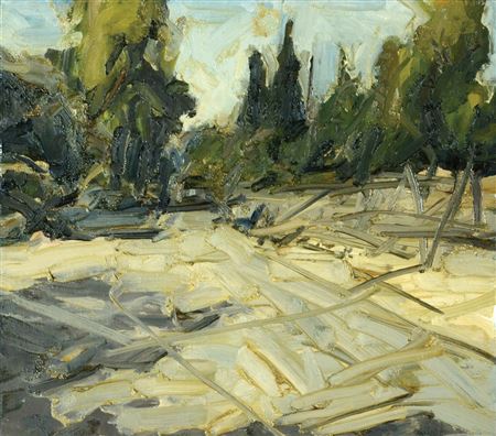 Yarden Wolfson : Landscape