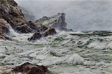 Harry Henry James Sticks : A rocky coastal scene with seagulls in flight