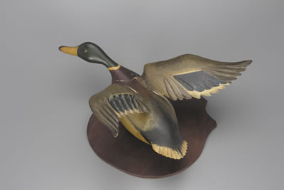 Norman Hudson : Flying Mallard Drake