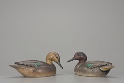 Lloyd Johnson : Green-Winged Teal Pair