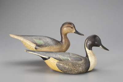 Ward Brothers : Pinch-Breast Pintail Pair