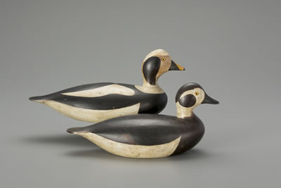 Joseph W Lincoln : Long-Tailed Duck Pair