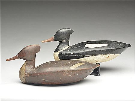 Lou Barkelow : Rare rigmate pair of mergansers