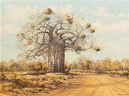 Francois Badenhorst : Baobab