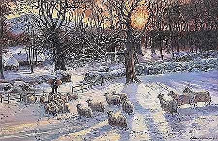 William Yeaman : WINTER SHEEP