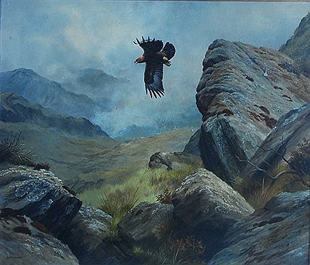 David M Reid-Henry : Golden Eagle