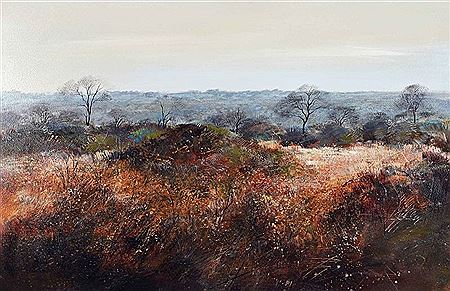 Peter Hall : Bushveld Landscape