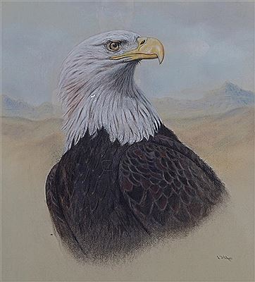 Lew Helyes : Golden eagle