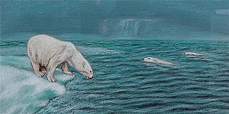 Lew Helyes : Polar Bears